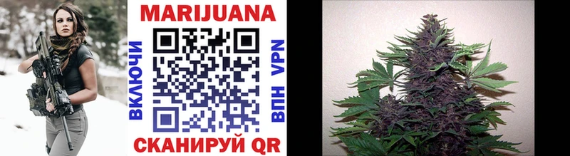 MEGA зеркало  цена   Темрюк  Каннабис OG Kush 